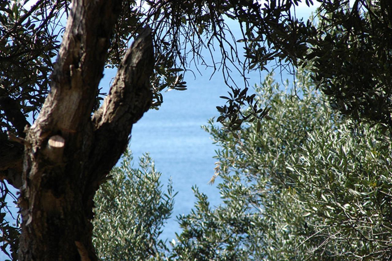 Luxury Bonbon Next To Banje Beach And Old Town, Great Location Dubrovnik Buitenkant foto